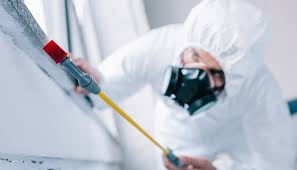 Trusted St David, AZ Pest control Experts